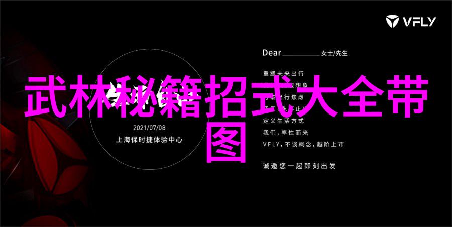 武术源流分析十大真实武功秘籍中的文化内涵