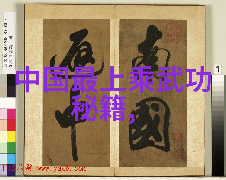 武林高手们的论战揭秘最强大武术之谜