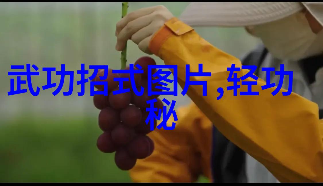 街头巷尾的花朵女生帮派的绚烂篇章