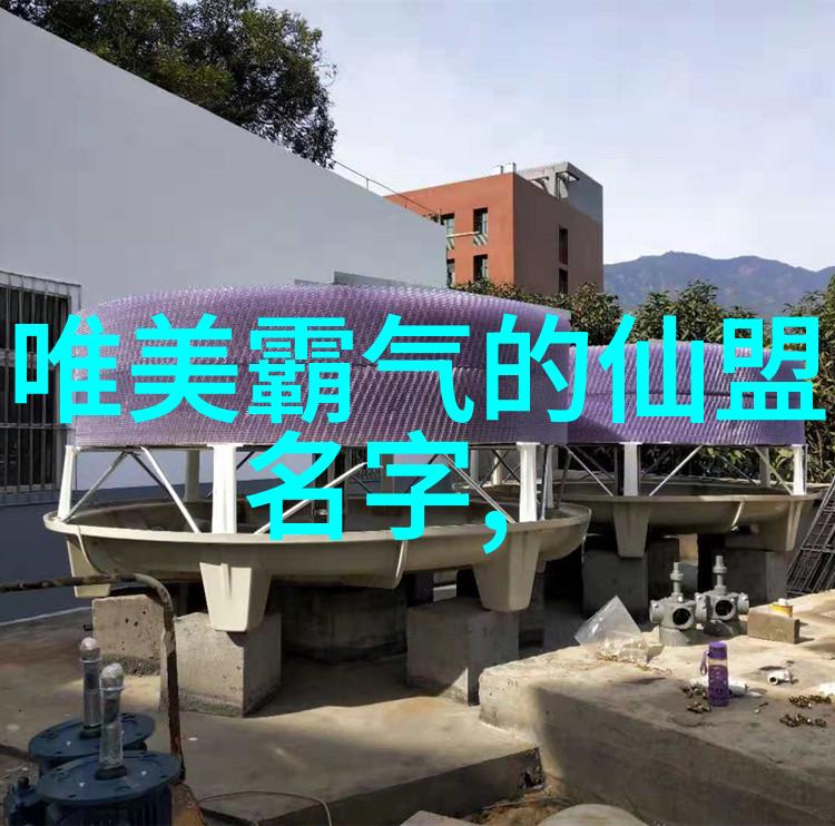 全国武术门派有哪些 - 探秘中国武林的千年传承