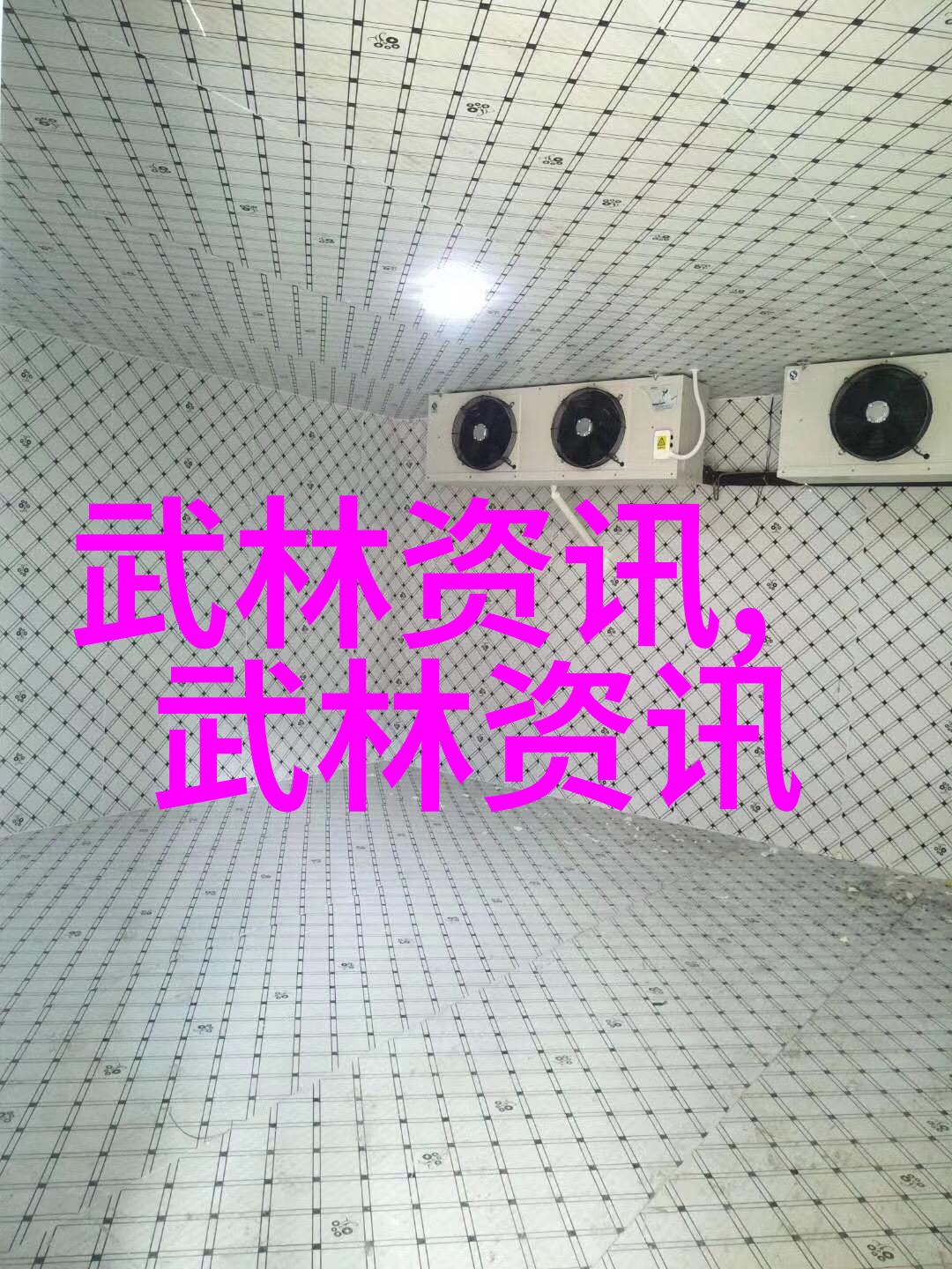 文化交流视角下探讨南京派和北京派的融合可能性