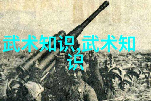 24式太极拳口诀表解锁练拳避病五十秘诀陈照奎指引您健康之路