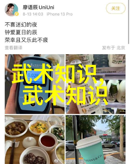 NBA名帅威尔肯斯解析后仰运球技巧