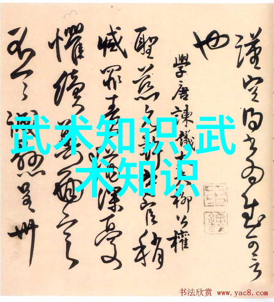 探秘中国武术秘籍书揭开古代拳法奥秘