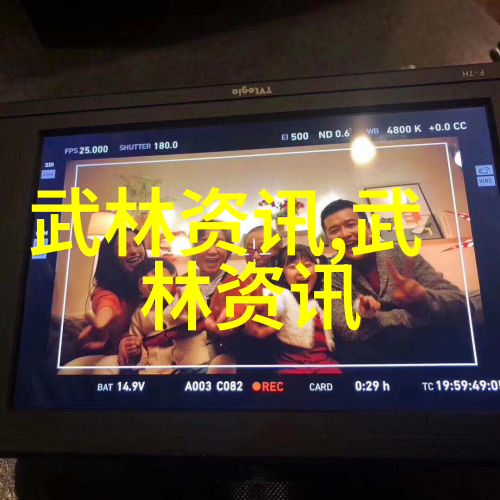 数据驱动武功秘籍大全揭秘太极拳精髓