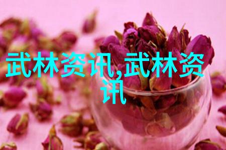 太极风姿揭秘24式太极拳精髓
