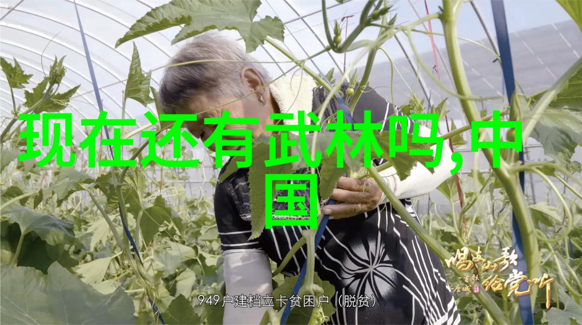 心灵共鸣南派太极流传