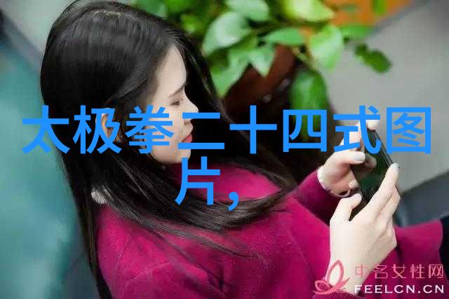 中国武术流派之宝武当游氏丹道太极拳