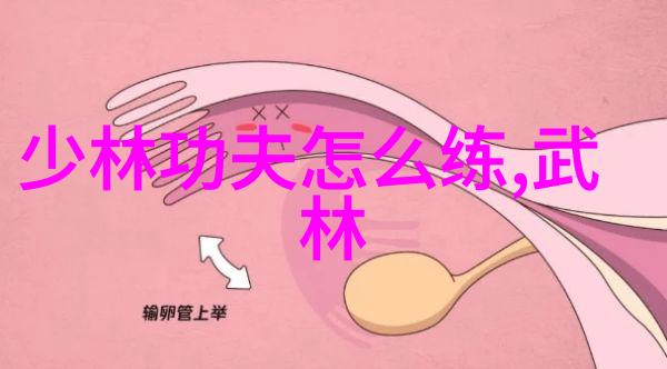绝学秘籍少林内门拳法的巅峰之选