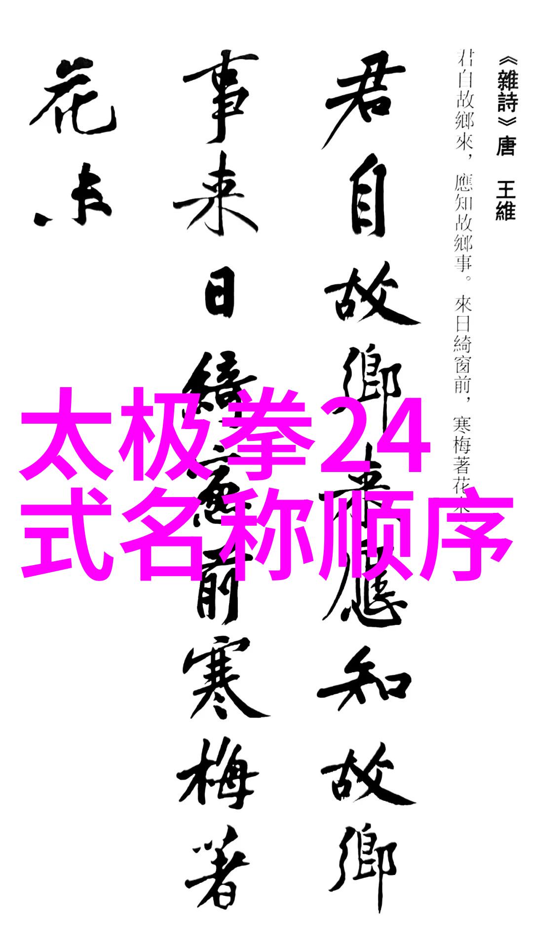 武林秘笈 - 刀光闪烁用刀的武林门派精髓探究