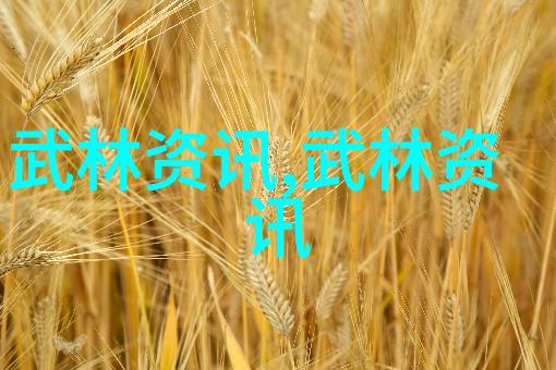 武术入门之路揭秘初学者应该首先掌握的基本功和招式