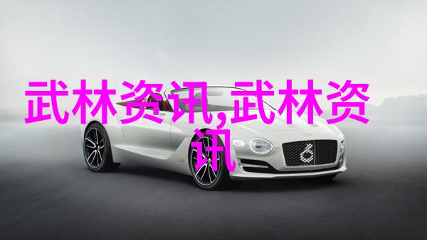 太极拳技巧-24式太极拳口令全套解析探索内外合一的舞蹈