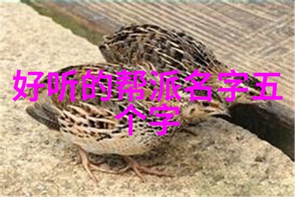 中华武林秘籍揭秘古老流派的神秘面纱