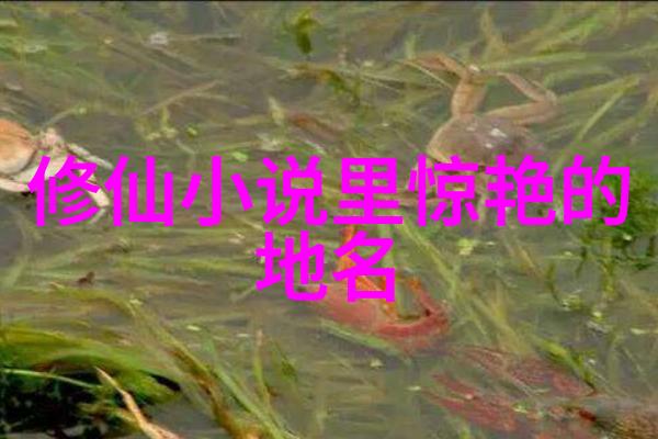 少儿散打武术揭秘小朋友练习武功的趣事和益处
