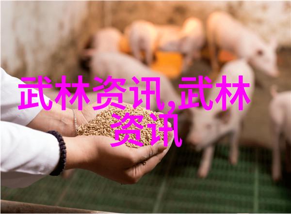 武林绝学峨眉派与青城派的山水对比
