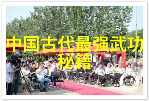 浅谈意练太极拳快速学会轻功的秘诀