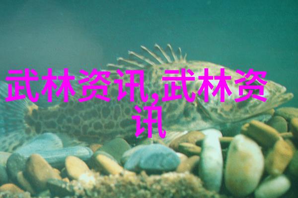 霸道门派王式拳法青山形意震撼世界
