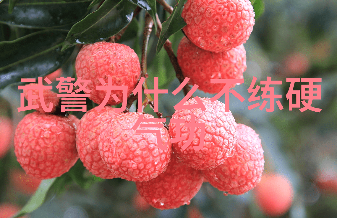 女生帮派易形自然功拳种门派并进