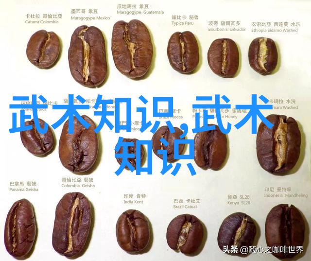 六大门派秘籍海底踢腿揭秘拳种收入之谜