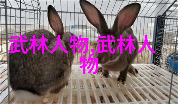 剑影轻纵男人眼中的女人武功佳