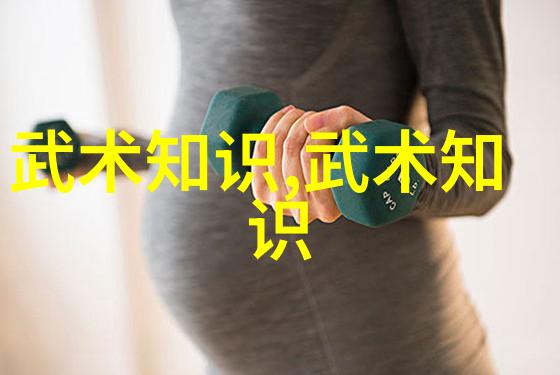 真正的中华武术-裘建华