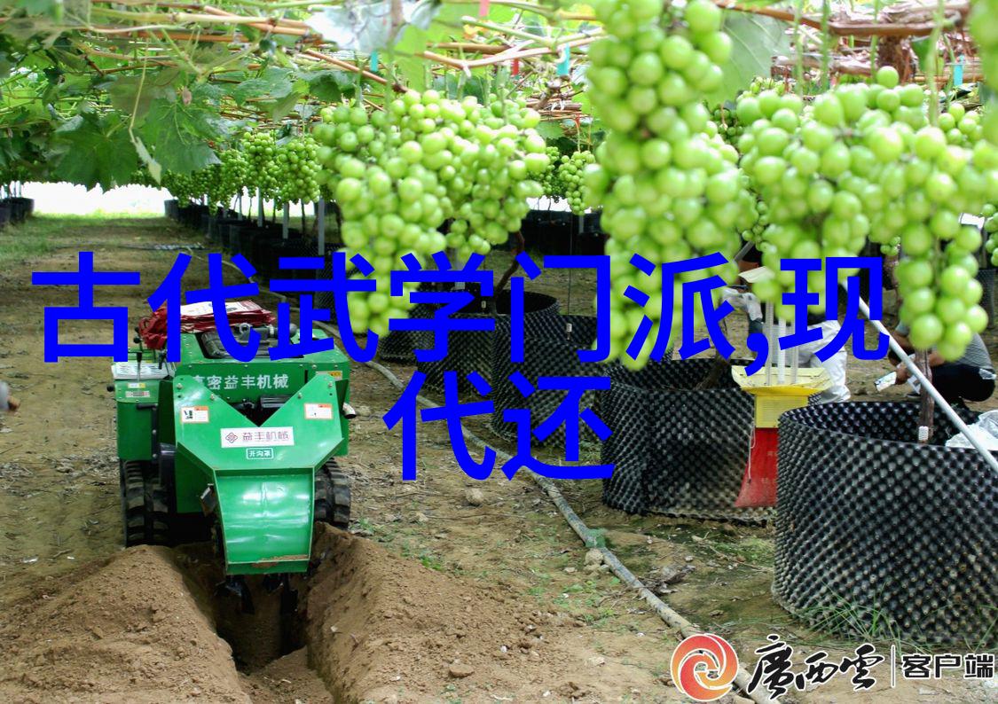 现代时期对传统中国武术拳法的改良与发展