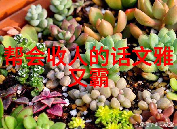 拳法与剑舞体验中国武术十大门派的绝学技艺