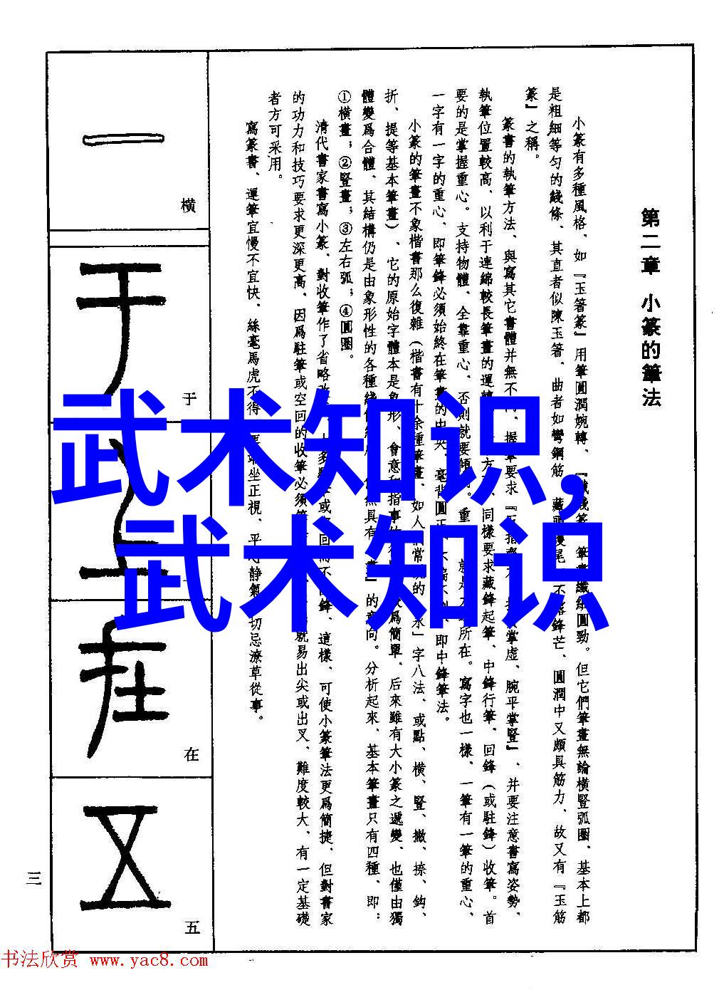 张宝银指引的简化24式太极拳分解教学推腿练功秘诀大揭秘