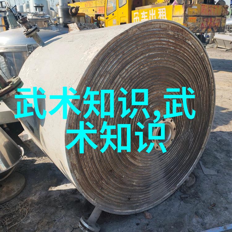 武林绝学探秘揭秘千古江山中最神秘的武术流派