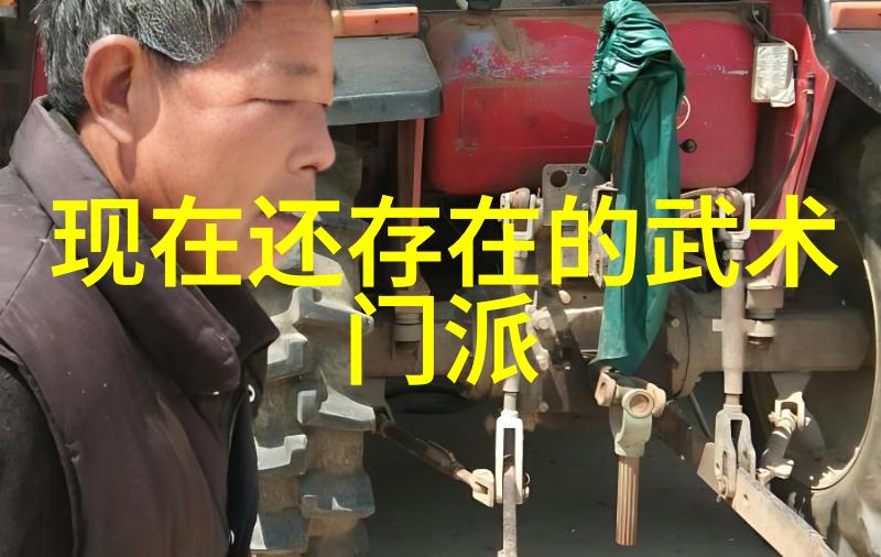 浅谈李小龙功夫教学视频中的泛臀技巧体现于人物练习陈氏太极拳时的场景