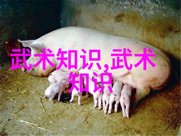 咏春拳小念头与实战训练中国武功秘籍大全书的珍贵物品