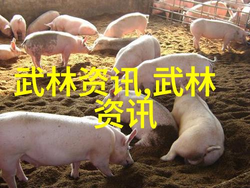 在学习太极时应怎样平衡内外勁呢