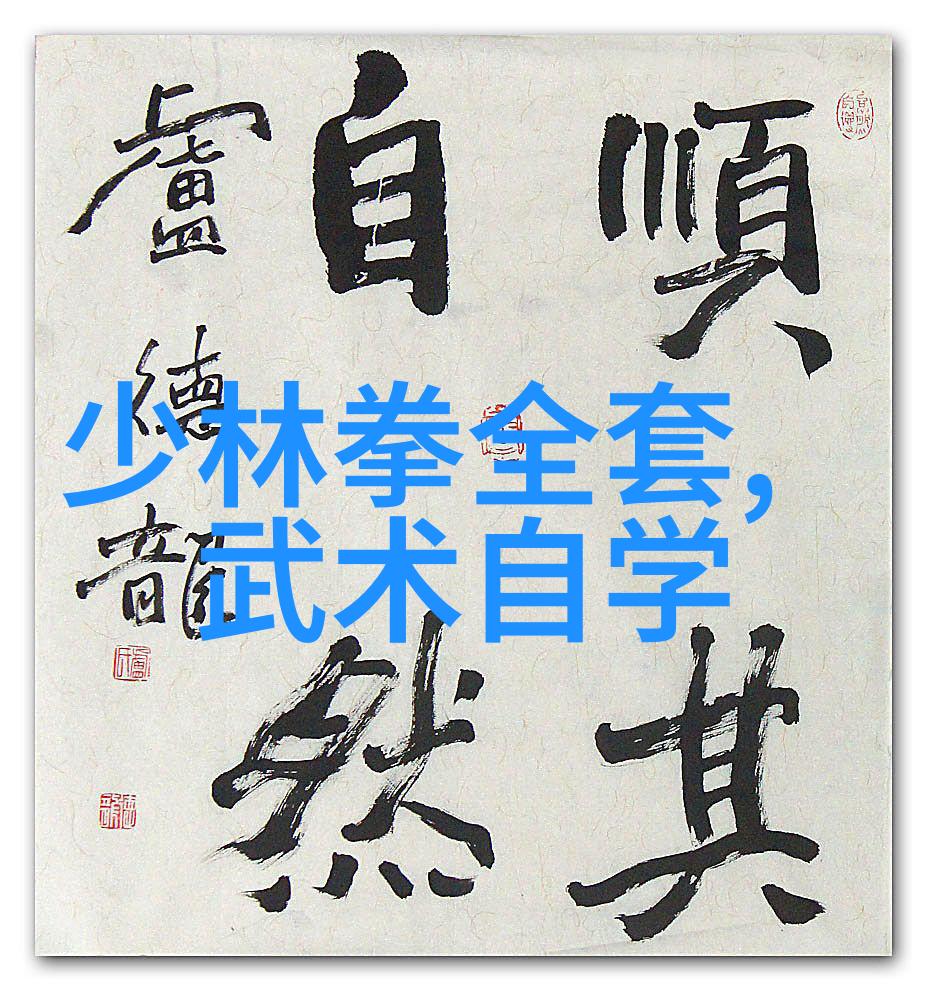 轻松掌握简易24式太极拳从入门到精通的实用指南