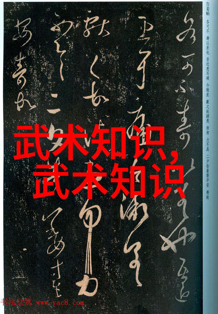拳影纵横揭秘武术的奥秘与艺术