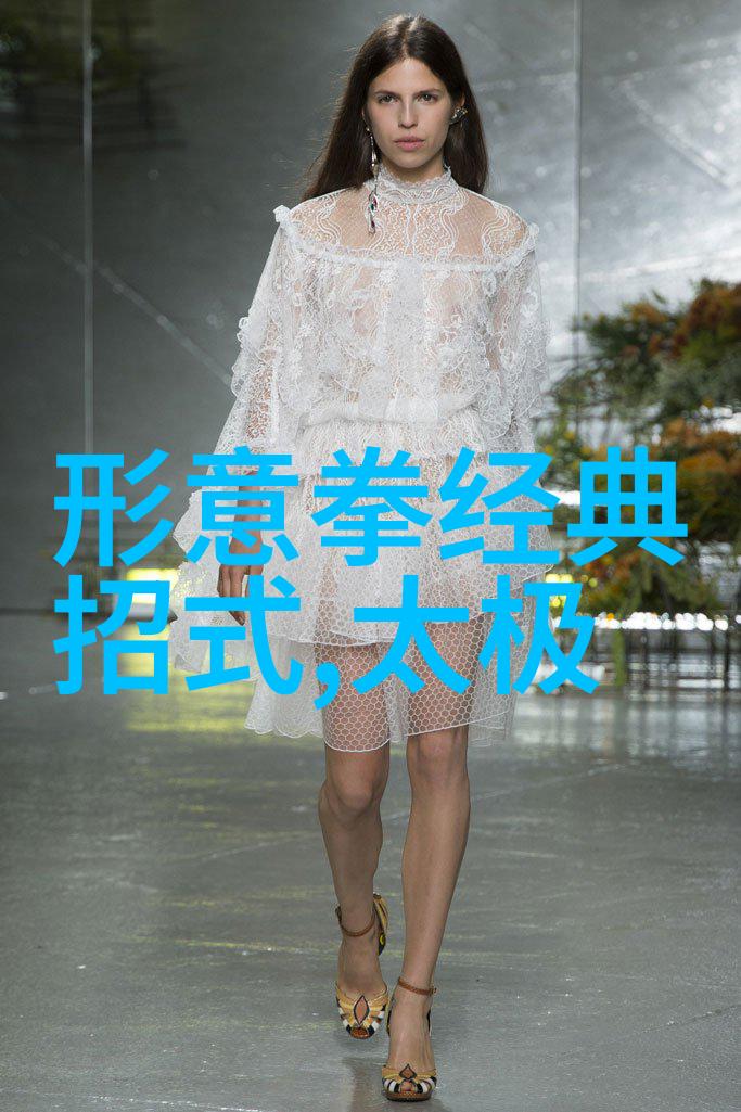 秘笈未泄寻踪中国功夫的绝世之谜