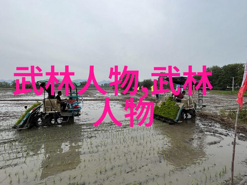青春嘻哈梦18岁女rapper在大豆网的音乐征程