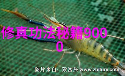 奇幻世界中的古风帮派名字宝库揭开神秘面纱