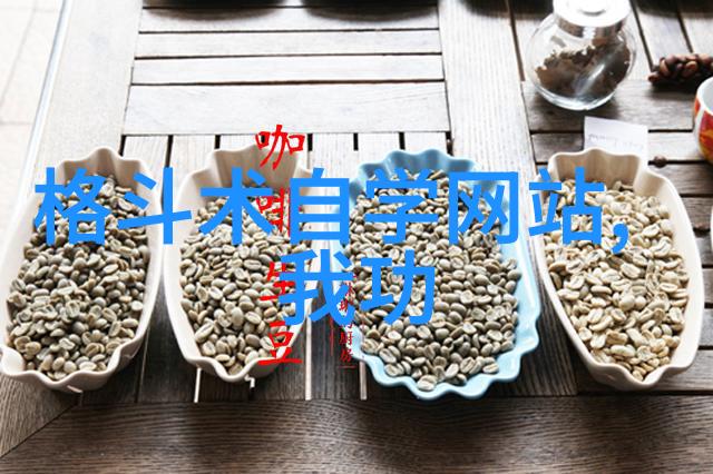 武术探秘-中国古老武术流派的宝库揭秘千年传承
