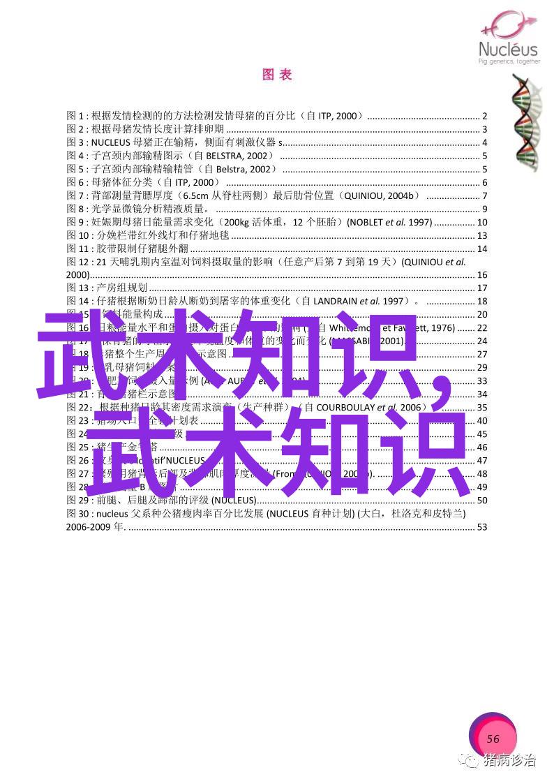 深圳青年攀岩锦标赛落幕二中学子夺三项冠军