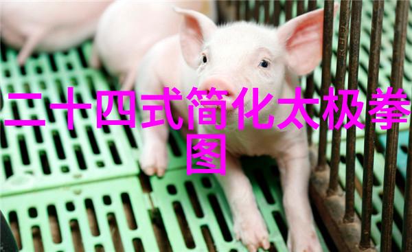 医疗器械展会未来健康的展示之窗