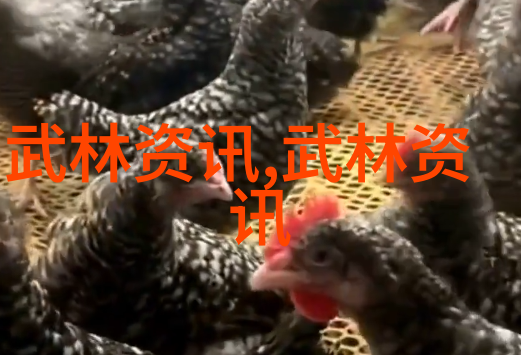 太极拳练习追求梦境醉态的说法有误