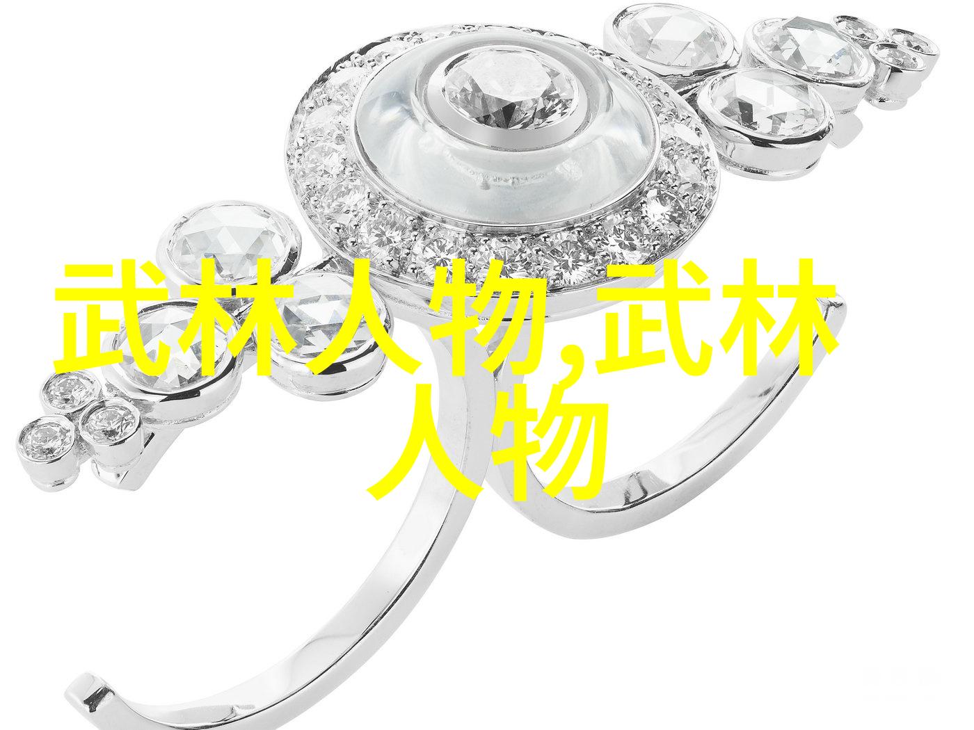 传承龙脉武当全真派的秘密继承人