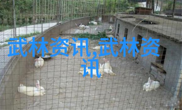武林秘籍揭秘少林寺最强大的内家拳法