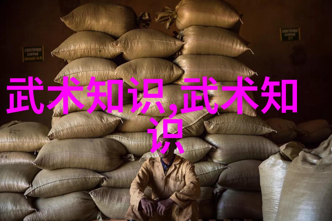 世界上最强武功是什么论太极拳的道家思想