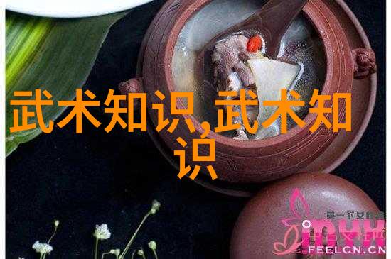武林秘籍-掌握乾坤揭秘基础武功的传统与实践