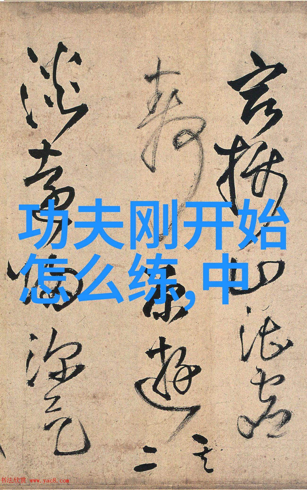 修真秘籍之谜9000部灵动篇章