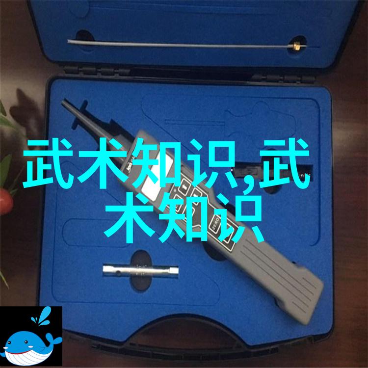 五行八段的概念在哪些传统武学中有所体现