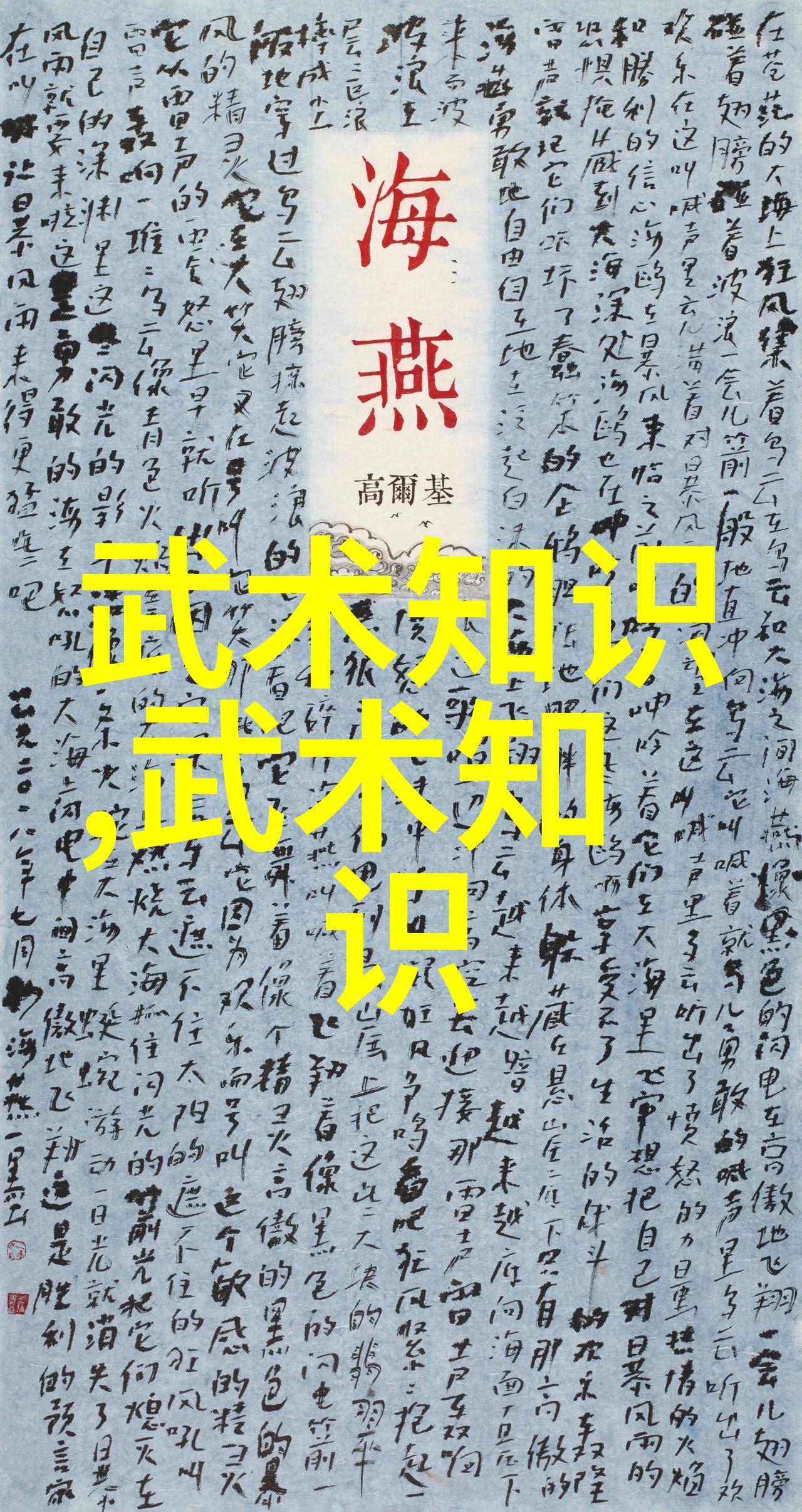 禁武网站背后的故事
