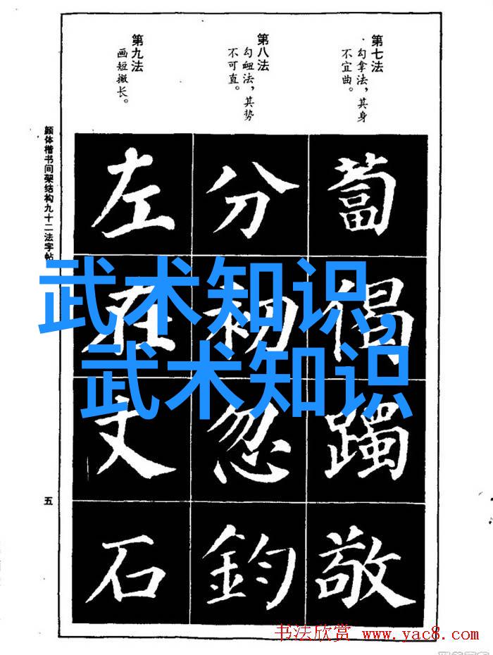 日本RAP界的新风暴探索最强Rapper视频背后的故事与魅力