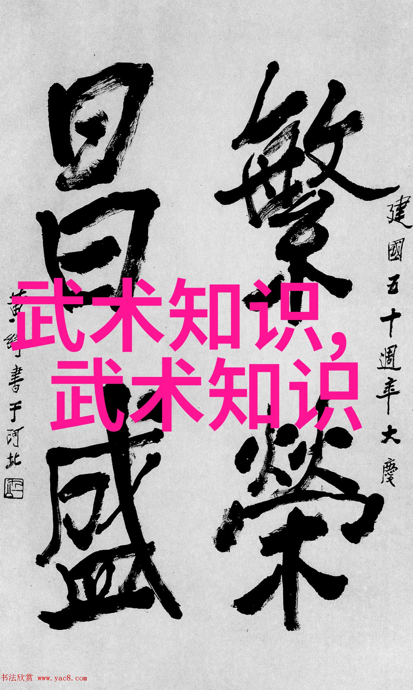 古代武功秘籍我如何翻译出一本让人惊叹的古老武学秘籍